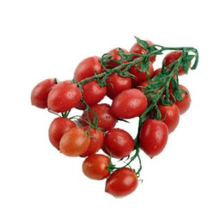 گوجه چری زیتونی قرمز تازه