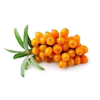 اورنج بری تازه