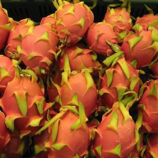 دراگون فروت نارنجی