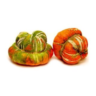 بذر کدو تنبل توربن ها