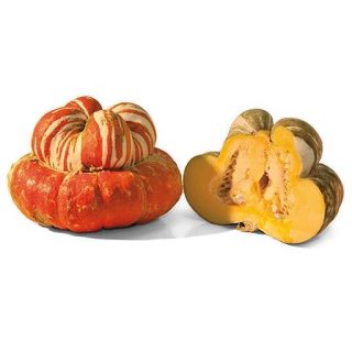 بذر کدو تنبل توربن ها