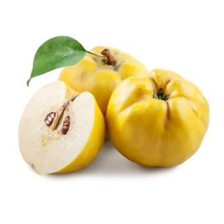 بذر درخت به