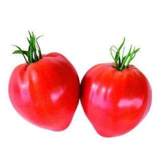 گوجه قلبی قرمز درختی