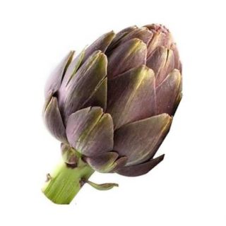 بذر آرتیشو بنفش روماگنا