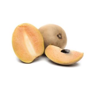 بذر درختچه ساپودیلا