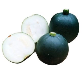 بذر کدو توپی سیاه