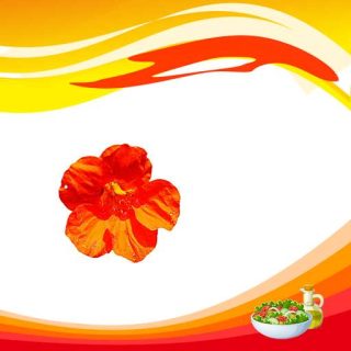 گل نسترن خوراکی