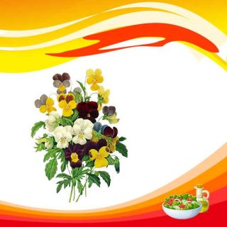 گل بنفشه خوراکی