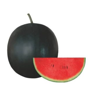 هندوانه کوچک شیرین خوب