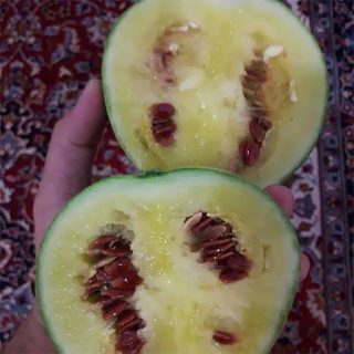 هندوانه دیمی زرد