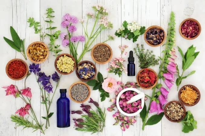 ترکیبی از گل و گیاهان دارویی