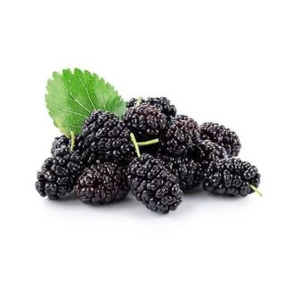 شاه توت چیده شده