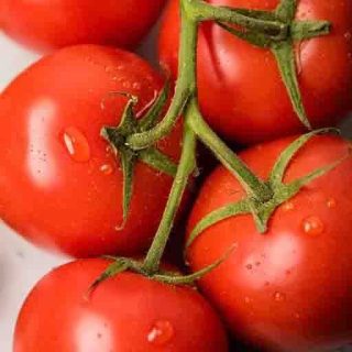 گوجه فرنگی کلوز فرانسه خوب