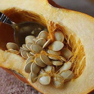 بذر کدو آجیلی