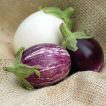 بادمجان دلمه ای میکس برداشت شده