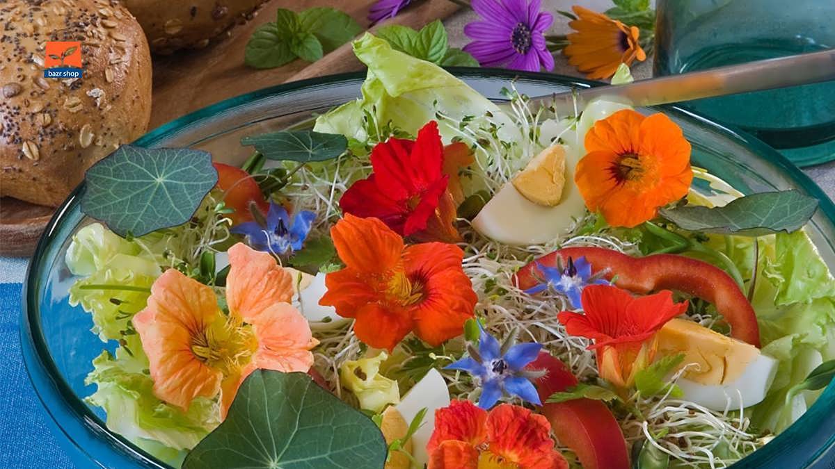 گل جردین نسترن