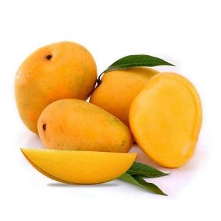 بذر درخت انبه
