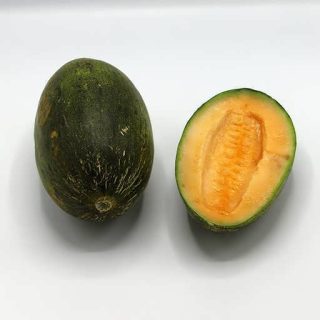 بذر خربزه مولات