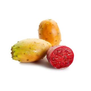 بذر کاکتوس اپونتیا میوه دار نارنجی