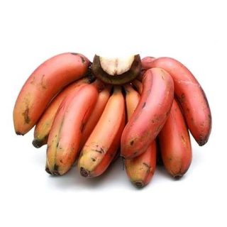 بذر موز قرمز