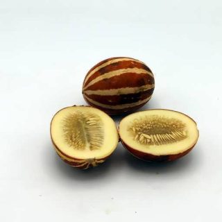 بذر شماما (بنگارک)