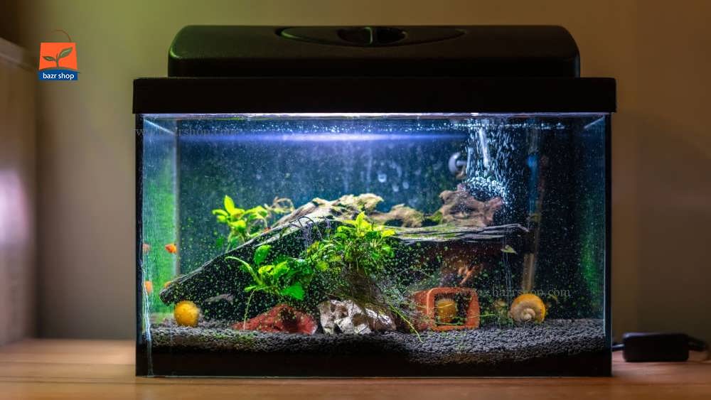 ماهی های کوچک در تانک آکواریوم در خانه روی میز چوبی