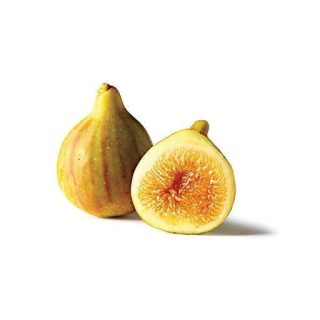 بذر انجیر زرد