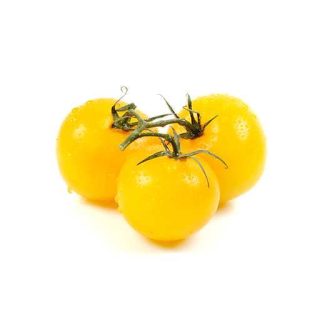 بذر گوجه فرنگی زرد بوته ای