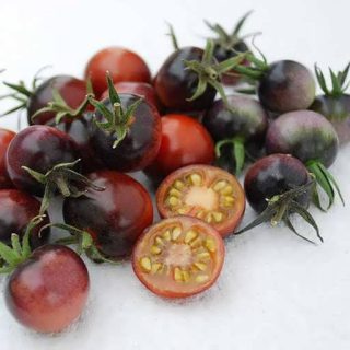 گوجه گیلاسی بلوبری قرمز ارگانیک