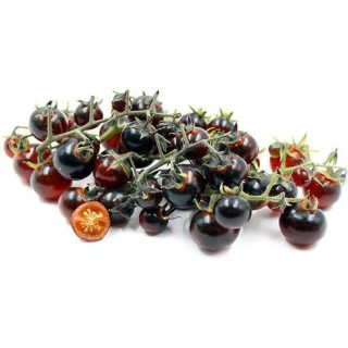 بذر گوجه گیلاسی بلوبری قرمز