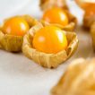 فیسالیس غول هندی برداشت شده