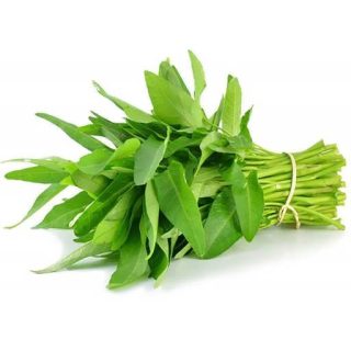 بذر اسفناج آبی برگ بامبو