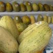 خربزه درگزی تازه
