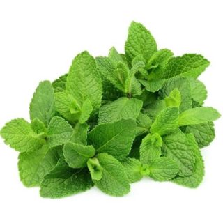 بذر نعنا دشتی