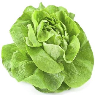 بذرکاهو رز پیچ سبز