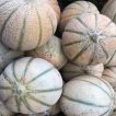 طالبی میکس از نمای نزدیک