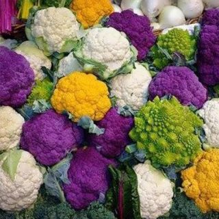 گل کلم میکس ارگانیک