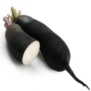 بذر شلغم سیاه