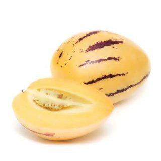 بذر پپینو ملون