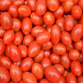 گوجه فرنگی تخم مرغی قرمز تازه