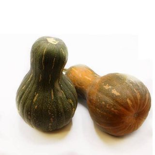 کدو تنبل حلوایی تایگر ارگانیک