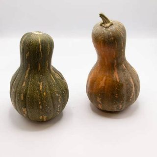 بذر کدو تنبل حلوایی تایگر