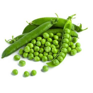 بذر نخود فرنگی سنادور