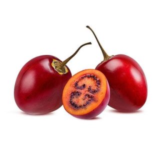 بذر گل سولانوم قرمز