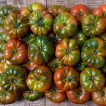 گوجه فرنگی موچامیل سبز خوشمزه