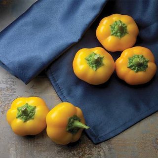 گوجه فرنگی دلمه‌ای زرد خوشمزه