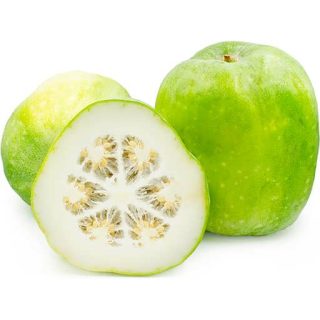 بذر کدو واکسی (خربزه زمستانی)