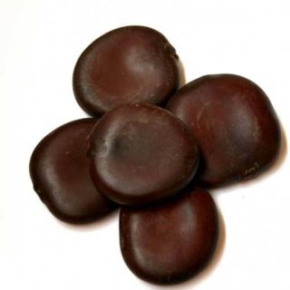 بذر قرص کمر