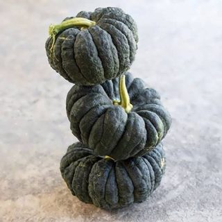 کدو عروسکی سیاه ارگانیک