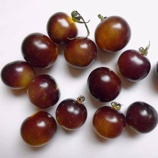 بذر گوجه گیلاسی توت طلایی آبی